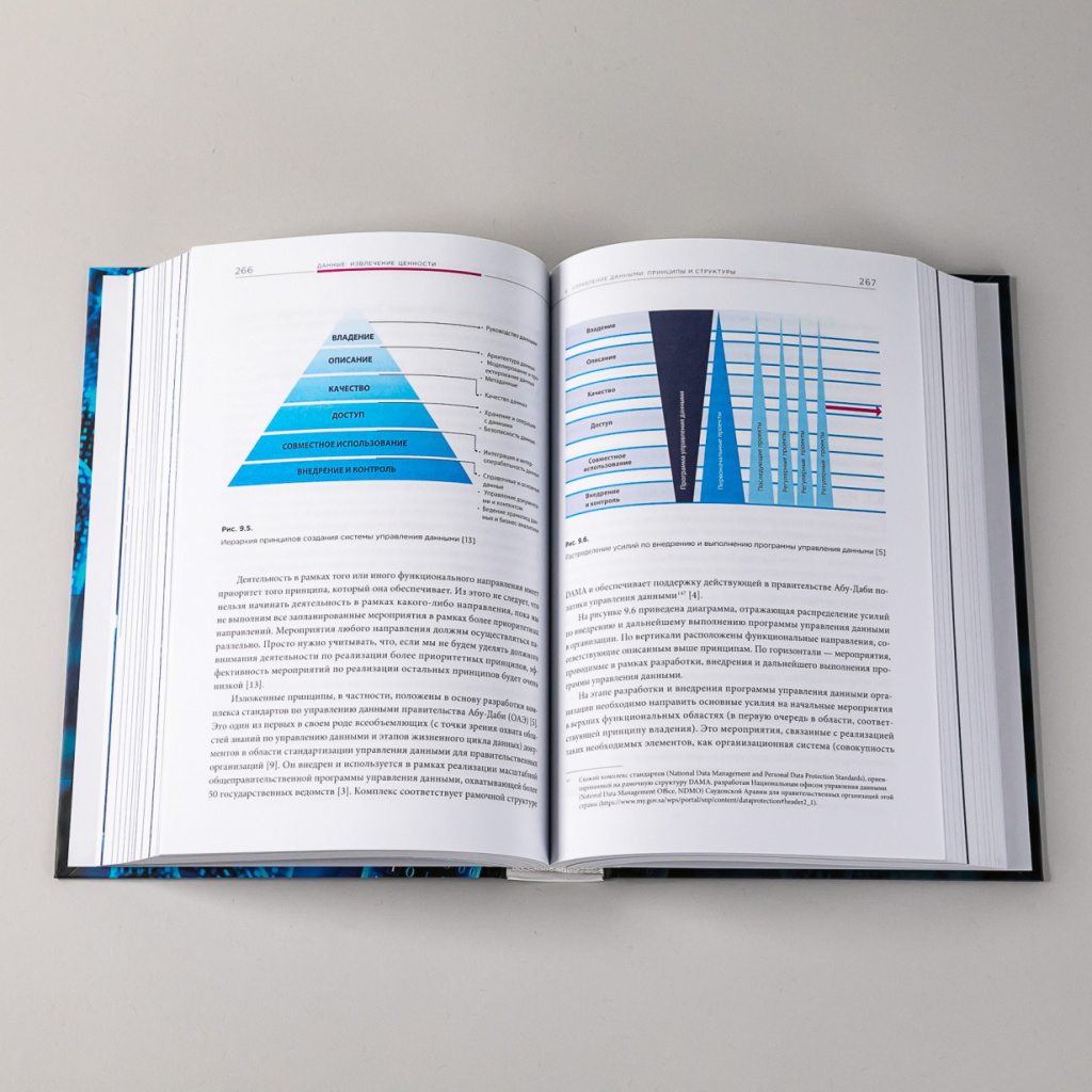 Разворот книги «Ценность ваших данных»